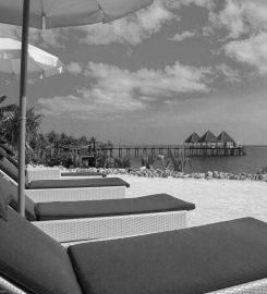 Fruit & Spice Wellness Resort