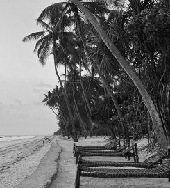 Indigo Beach Zanzibar