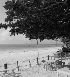 The Waterfront Zanzibar Beach Hotel