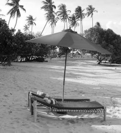 Coconut Tree Village Beach Resort