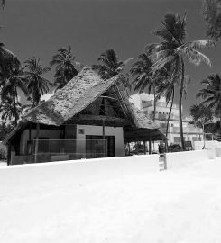 BeachFront Rooms Turtle House