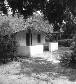 Bwejuu Garden View Bungalow