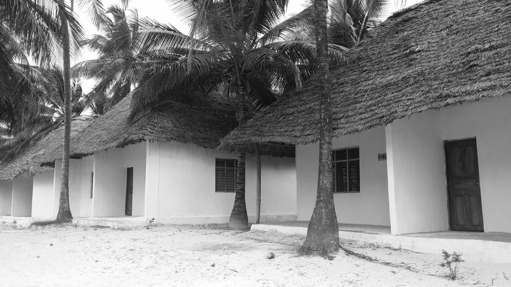 Coconut Beach Bungalow B&B - United Republic Of Tanzania Directory