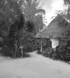 Damascus Bungalows