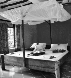 Sagando Hostel and Bungalows