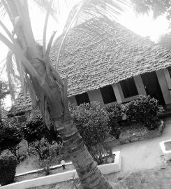 Kobe Bungalows Nungwi