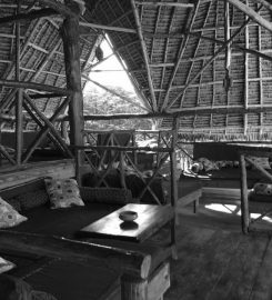 Baby Bush Lodge Zanzibar – Kiwengwa View