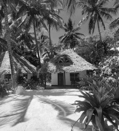 Paradise Beach Bungalows