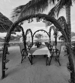 White Paradise Zanzibar