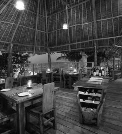 The Island – Pongwe Lodge