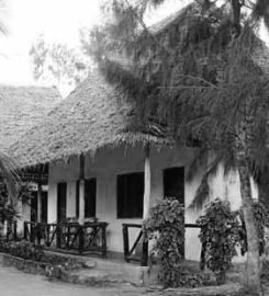 Safina Bungalows