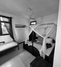 Baby Bush Lodge Zanzibar – Kiwengwa View