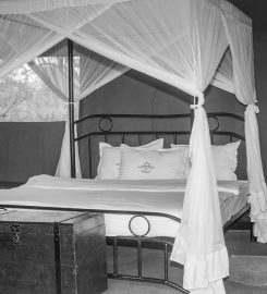 Heritage Ndutu Camp