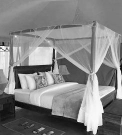 Suenos De Africa Luxury Camp