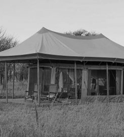 Intimate Places Tent Camp