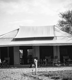 Maisha Serengeti Camp