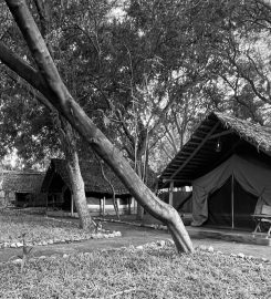 Natron River Camp