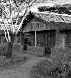 Ndutu Safari Lodge