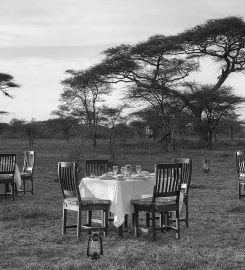 Ndutu Safari Lodge