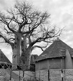 Rift Valley Photographic Lodge