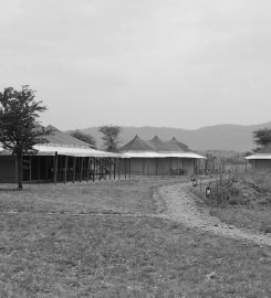 Suenos De Africa Luxury Camp Serengeti