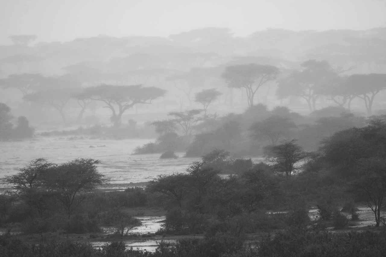 Rainy seasons in Tanzania