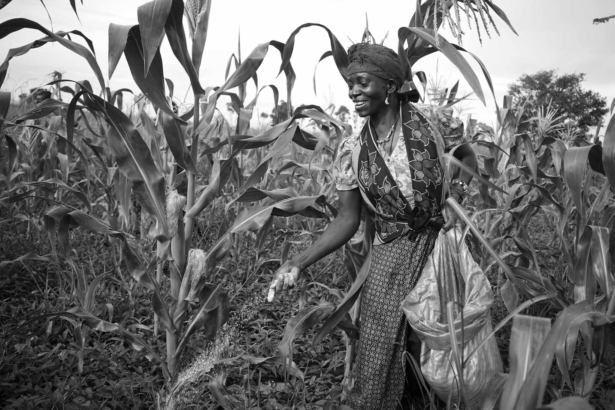 Maize farmer fertilizing her crops