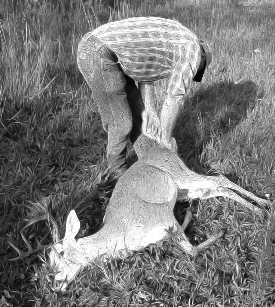 The Gazelle seller displaying his merchandise to buyers