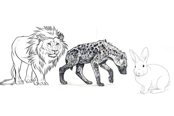 Folktale: The Cunning Errands of Lion, Hyena, and Rabbit