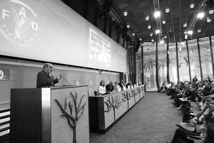 26 July 2019, Rome - Food and Agriculture Organization FAO Director-General José Graziano da Silva received an award for his longterm fight against malnutrition. Here is a phot of him speaking at Sheikh Zayed Centre