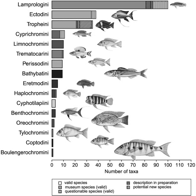 A Full List of Lake Tanganyika Fish and Species