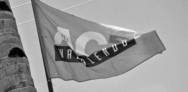 ACT Wazalendo flag