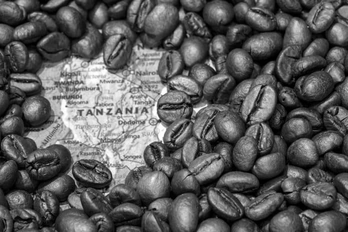 A Detailed Guide on Everything Related to Tanzania Coffee Beans