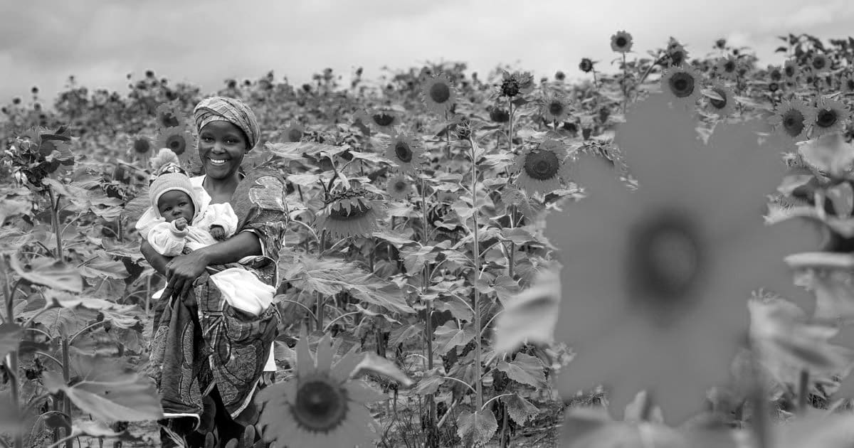 A farmer in Tanzania standing in the middle of her sunflower farm