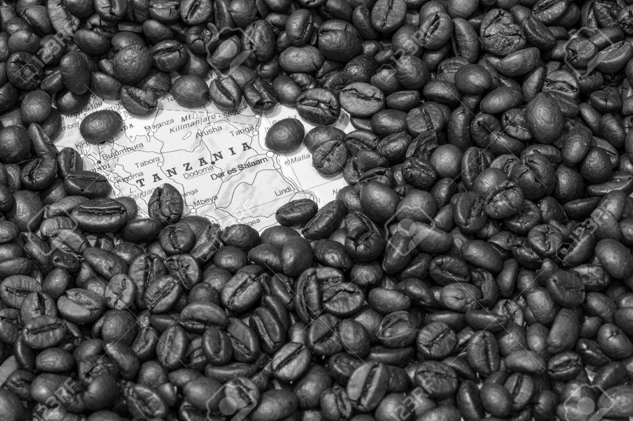 Arabica coffee from Tanzania - Peaberry coffee beans