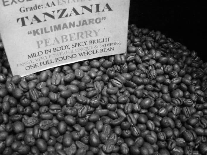 Everything to Know - Tanzania Peaberry Coffee