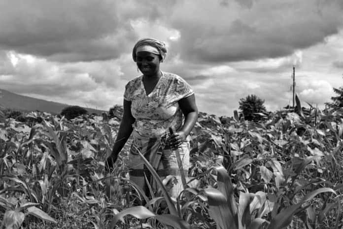 Female Tanzania Farmers – Breadwinners of the Society