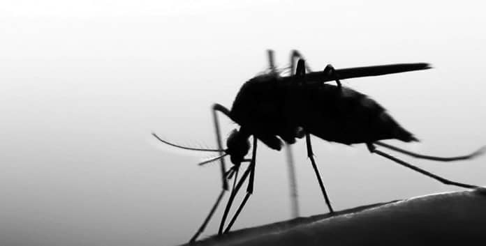 Malaria in Tanzania – Facts, Treatment, Prevention