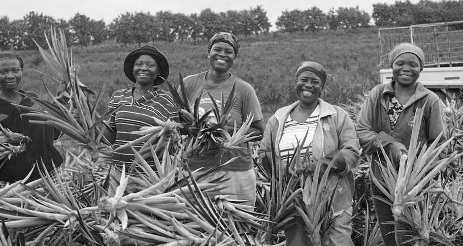 Pineapple farmers in Tanzania in the middle of harvesting taking a photo