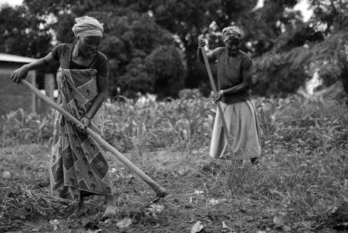 Three Ways Sustainable Agriculture in Tanzania Protects Natural Resources and Improves Livelihoods in the Southern Region