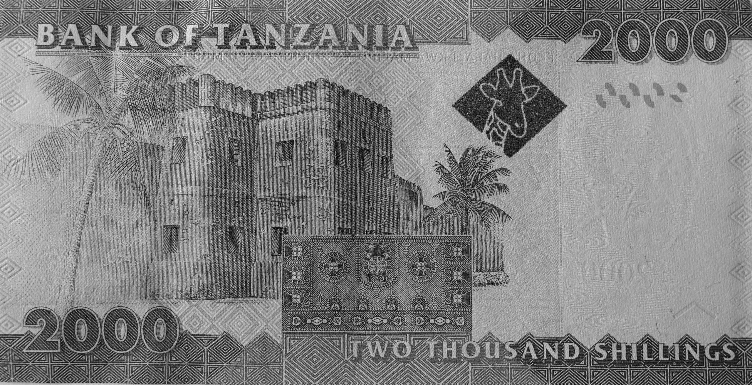 2000 Tanzania Shilling Back