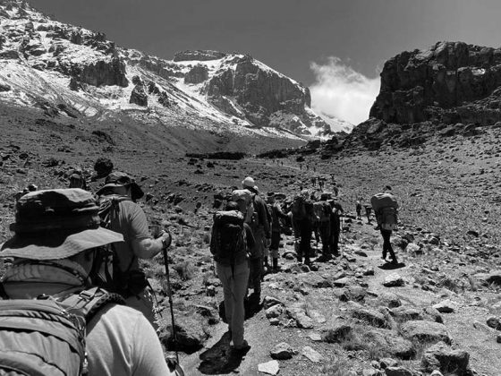 Mount Kilimanjaro Hike Pictures 5