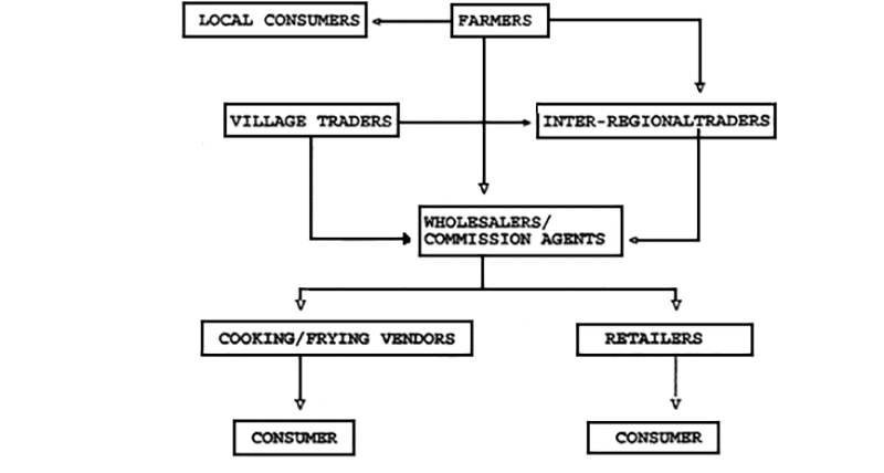 The marketing system for fresh cassava roots in Dar Es Salaam