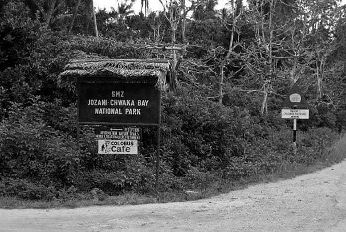 A Quick Walkthrough - Jozani Chwaka Bay National Park