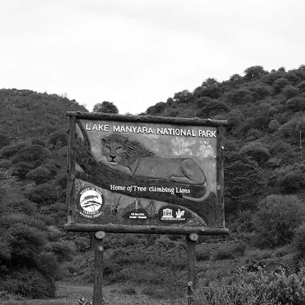 Greenery as you are approaching to Lake Manyara National Park