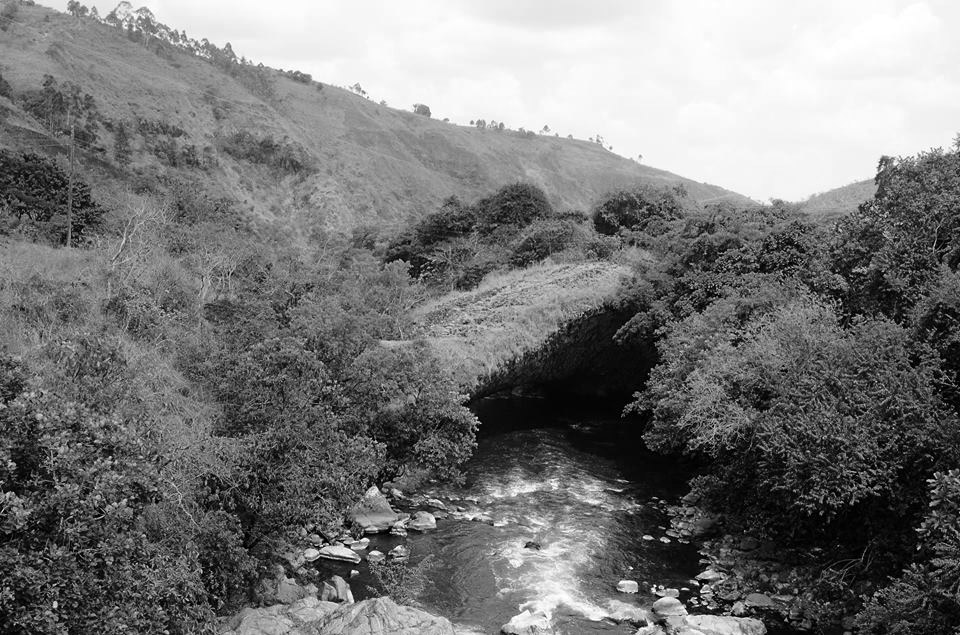 Kiwira God's bridge