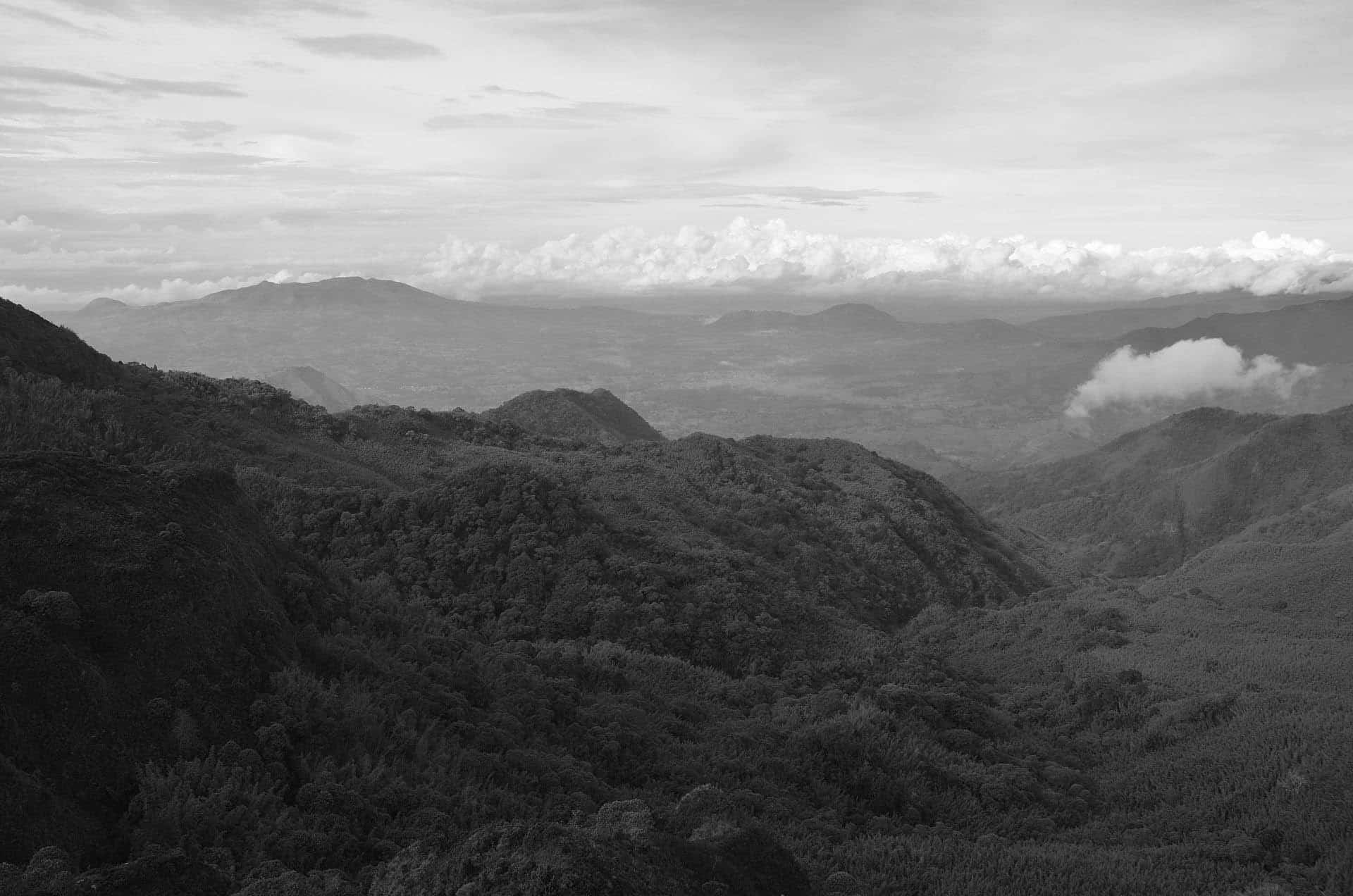 Livingstone Forest Reserve found in Kitulo National Park