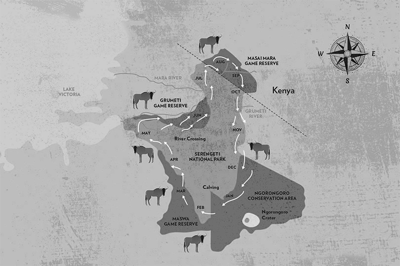Mara river crossing map