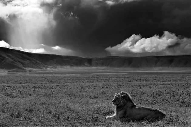 Ngorongoro Conservation Area Photos 5
