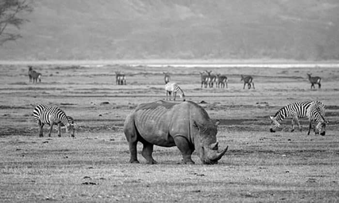 Ngorongoro Conservation Area Photos 6